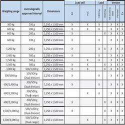 iL Special 4000D/MP Rampalı Zemin Tartım Platformu - 2