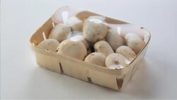 Automac 95 Otomatik Stretch Makinası - 7