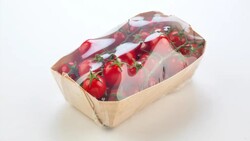 Elixa 24 Otomatik Stretch Makinası - 6