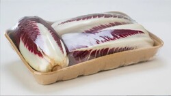 Elixa 30L Otomatik Stretch Makinası - 5