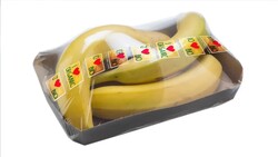 Elixa 30L Otomatik Stretch Makinası - 6