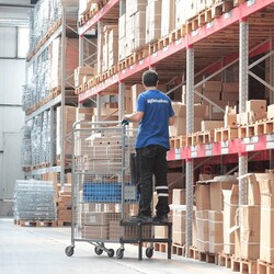 LX Kargoo Picker Ürün Toplama ve Taşıma Arabası 250 kg - 3