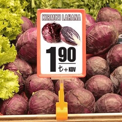 Plastik Çerçeve Takımı / Maşalı - 3