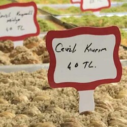 Yazı Kartı / Saplamalı / PVC - 2